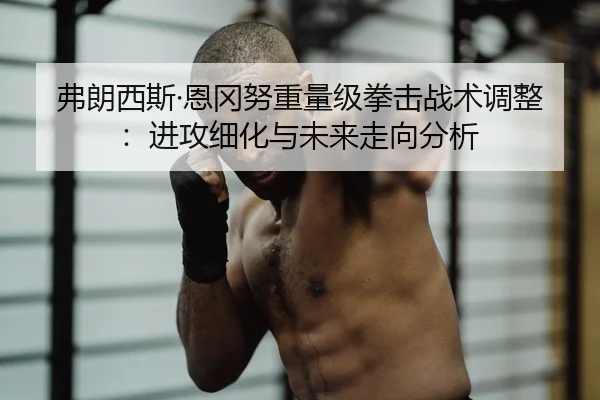 弗朗西斯·恩冈努重量级拳击战术调整：进攻细化与未来走向分析